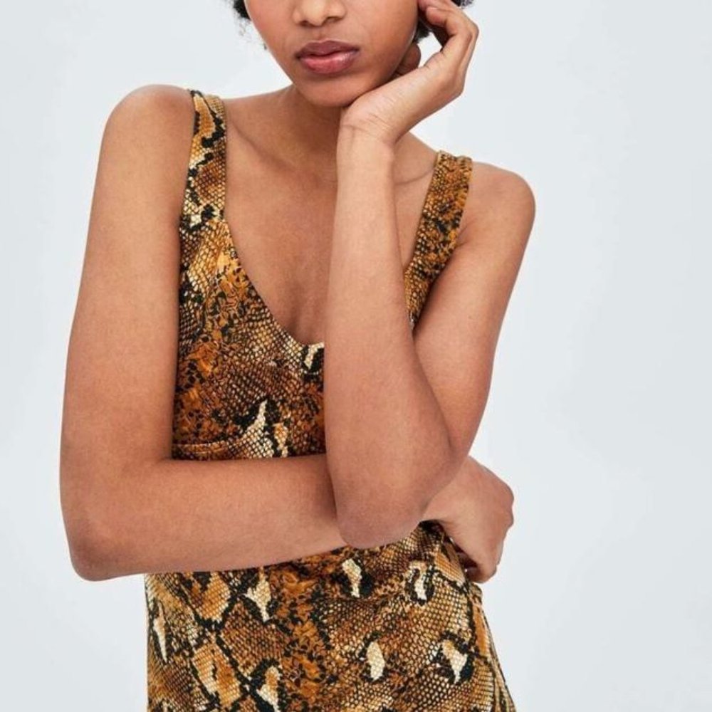 ZARA Trafuluc Brown Snake Print Mini Dress